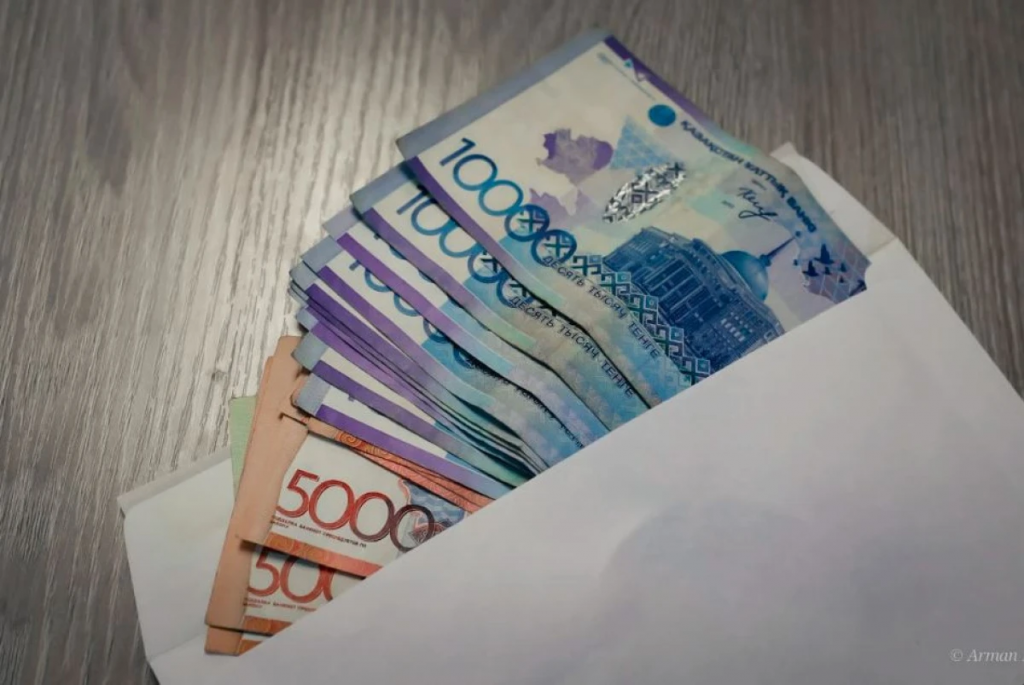 На что можно потратить государственные гранты для социально уязвимых казахстанцев