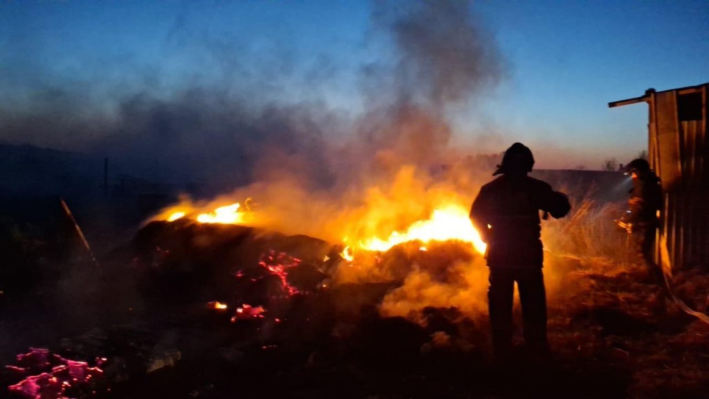 Восемь ландшафтных пожаров случились в Карагандинской области за выходные