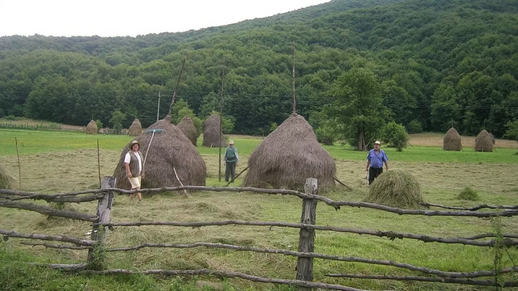 АПК Казахстана создаст тысячи рабочих мест в 2025 году