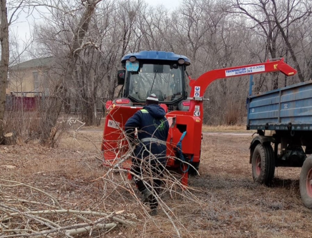 В Центральном парке Караганды начали санитарную подрезку деревьев