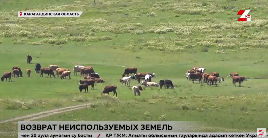 35 тыс. га неиспользуемых земель в Карагандинской области вернут в госсобственность
