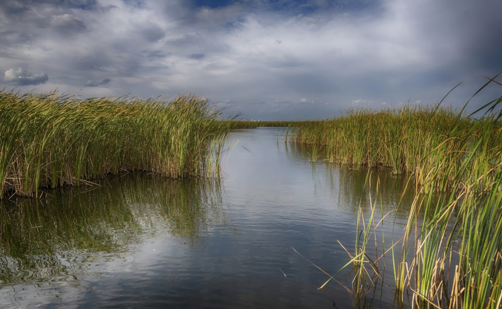 В Темиртау нашли тело пропавшего рыбака