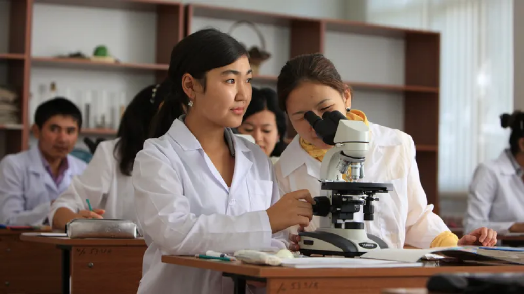 Новые требования введут для поступающих на педагогические, медицинские и творческие специальности в колледжи