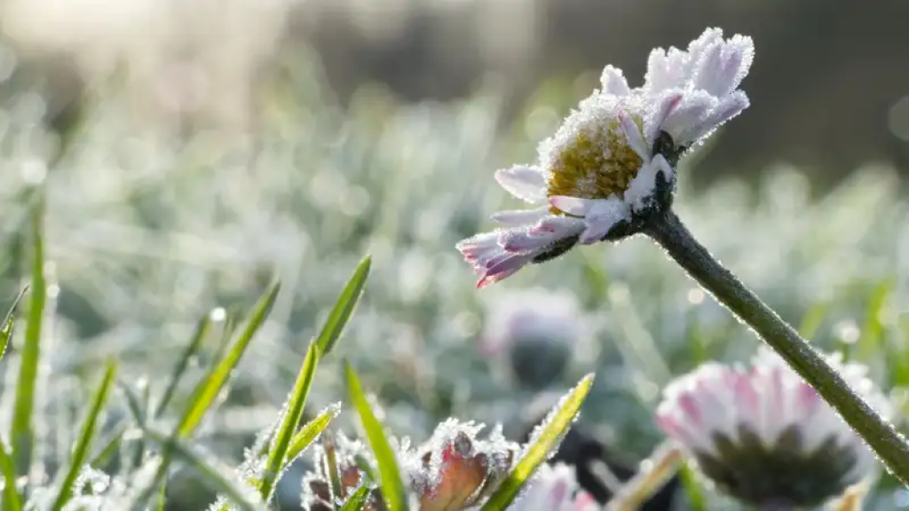 По-весеннему солнечная погода ожидается в Казахстане