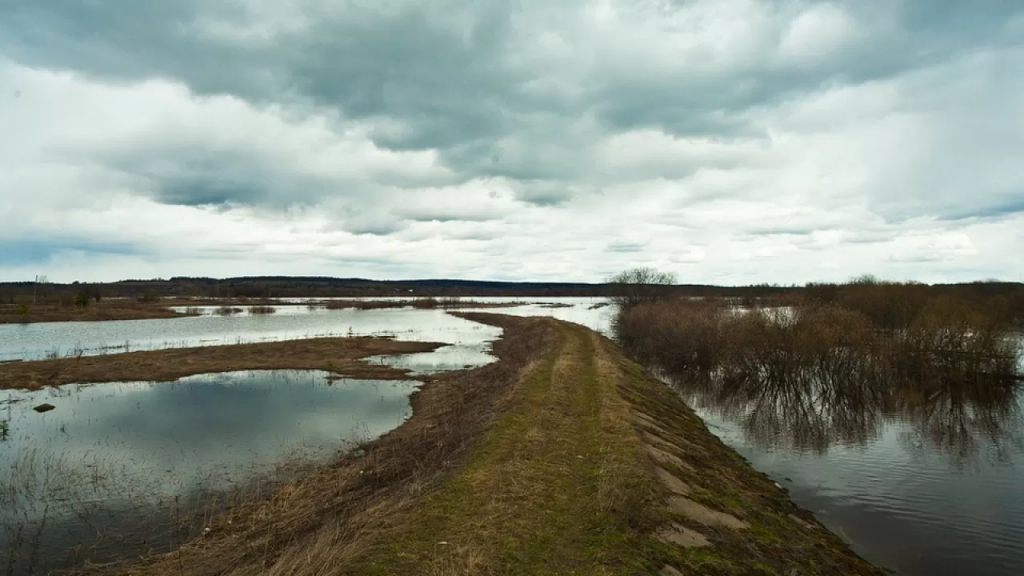 Сколько воды направят для поддержания экосистем в Казахстане