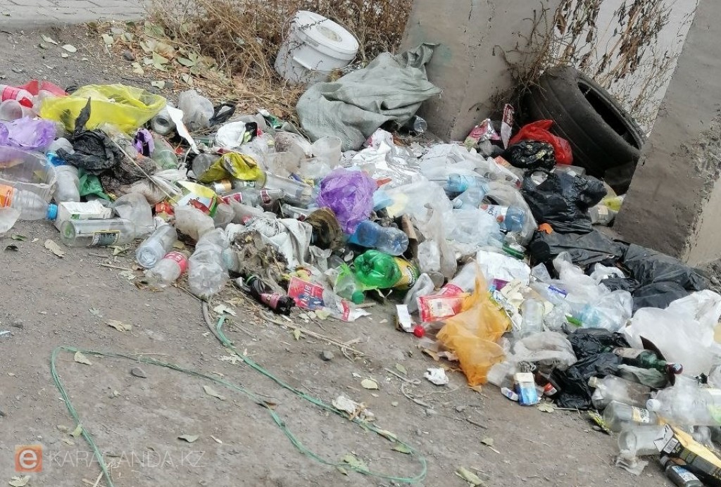 Акиматы получили право штрафовать казахстанцев за загрязнение общественных мест