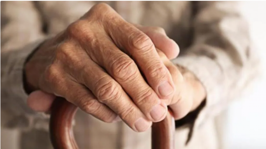 Оформление пенсии: что нужно знать о сроках подачи документов