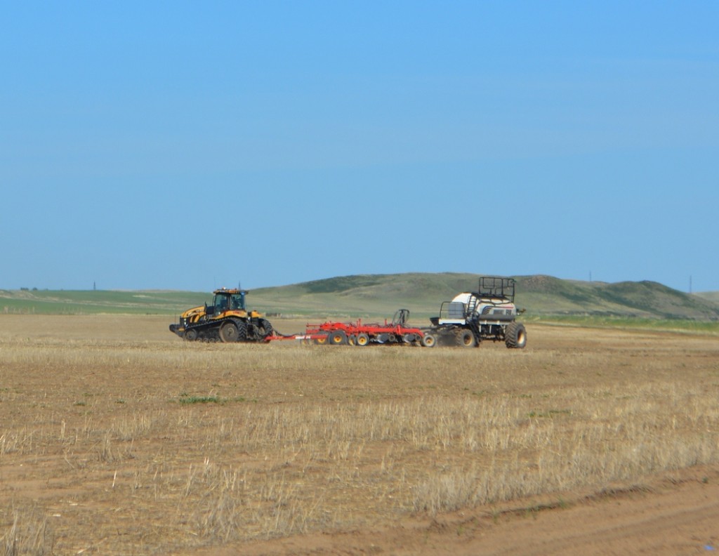 Бектенов поручил усилить контроль за уборкой урожая и логистикой зерна