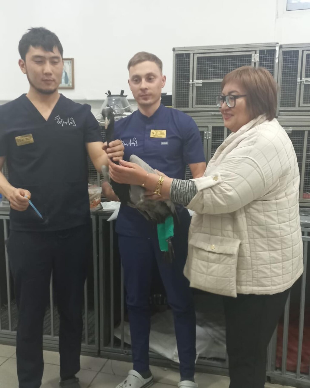 Карагандинские ветеринары провели операцию по остеосинтезу раненому журавлю