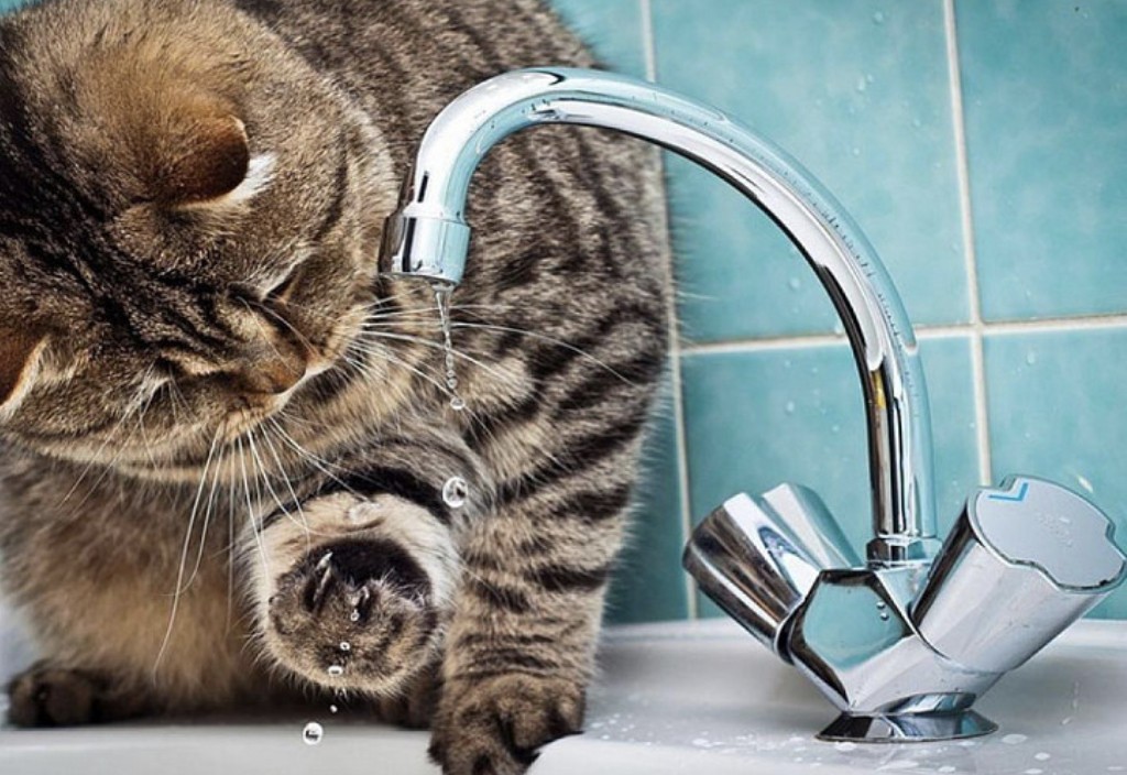 В Караганде произошла водопроводная авария