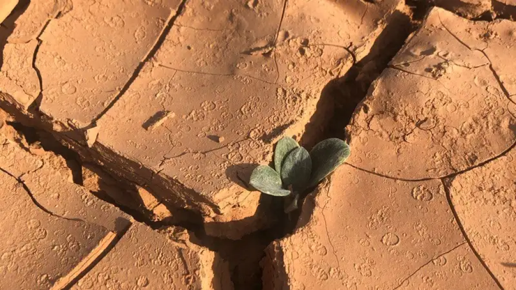 Казахстанцам в выходные придется спасаться от жары в 42°C