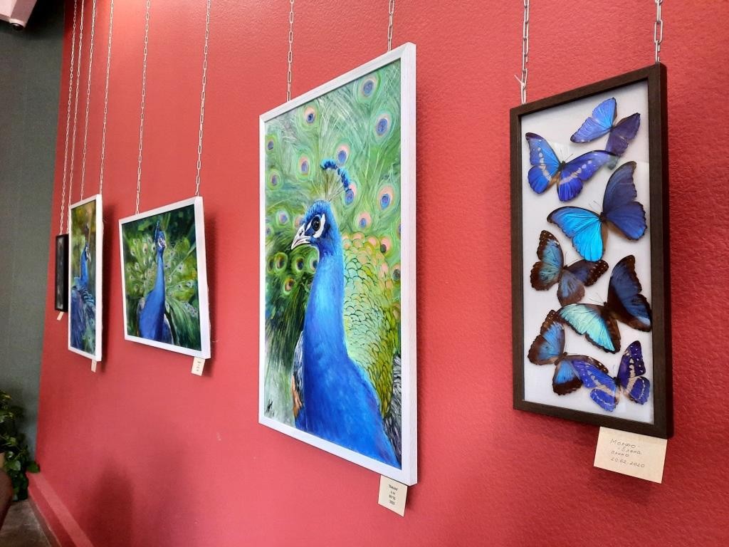 Наполненные жизнью штрихи: персональная выставка работ Владимира Фатьянова открылась в Караганде