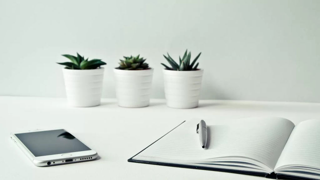 Мобильное приложение выявило махинации при назначении АСП