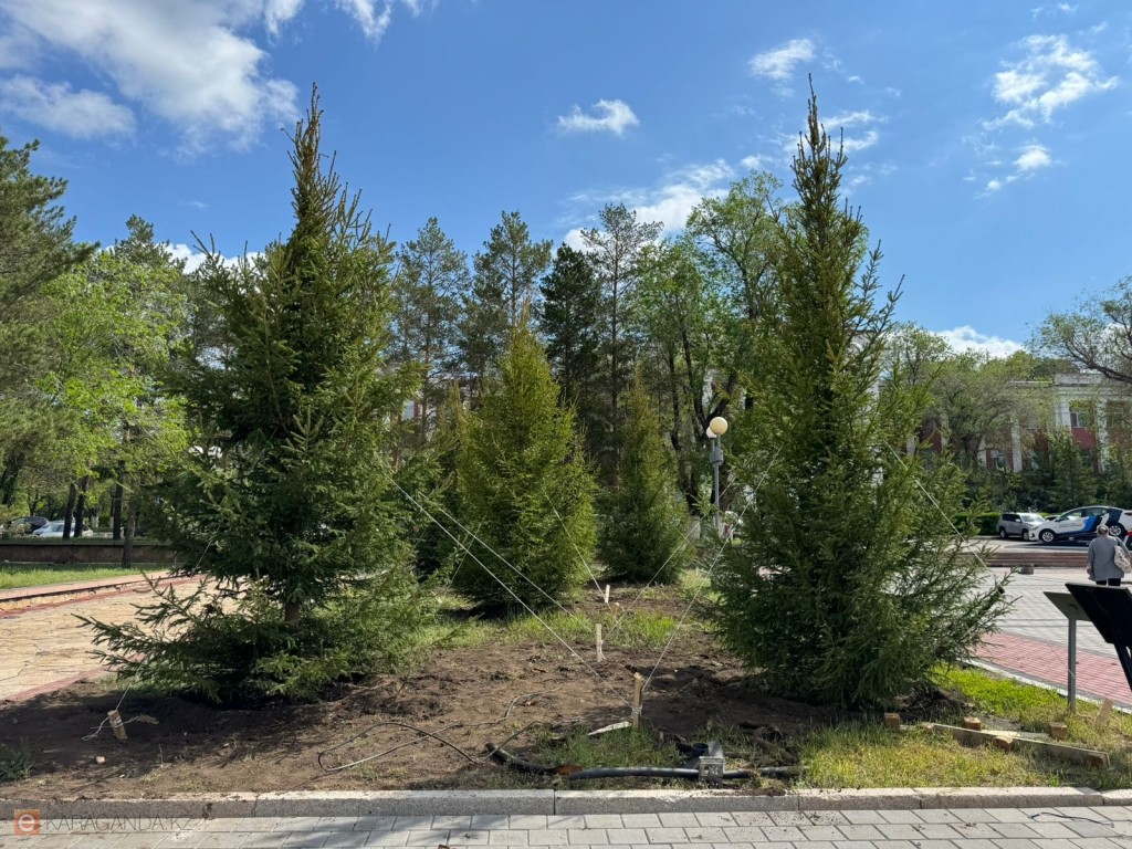 Аким Караганды поручил тщательно поливать посаженные деревья