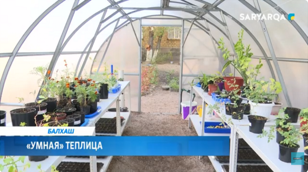 В Балхаше реализуется необычный экологический проект