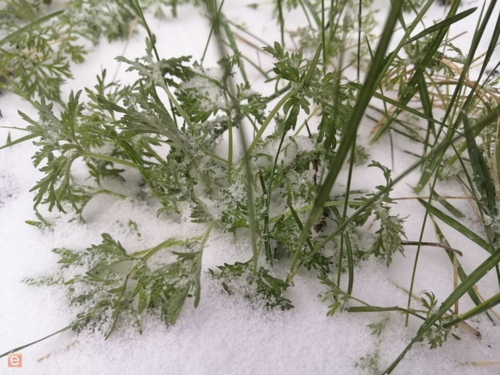 17 апреля: в Караганде и области ожидается холодная ночь и слабое потепление днём