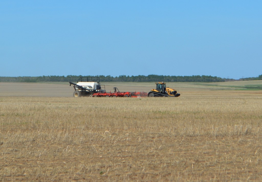 Қазақстанда ұлттық ауыл шаруашылығы санағы аяқталды