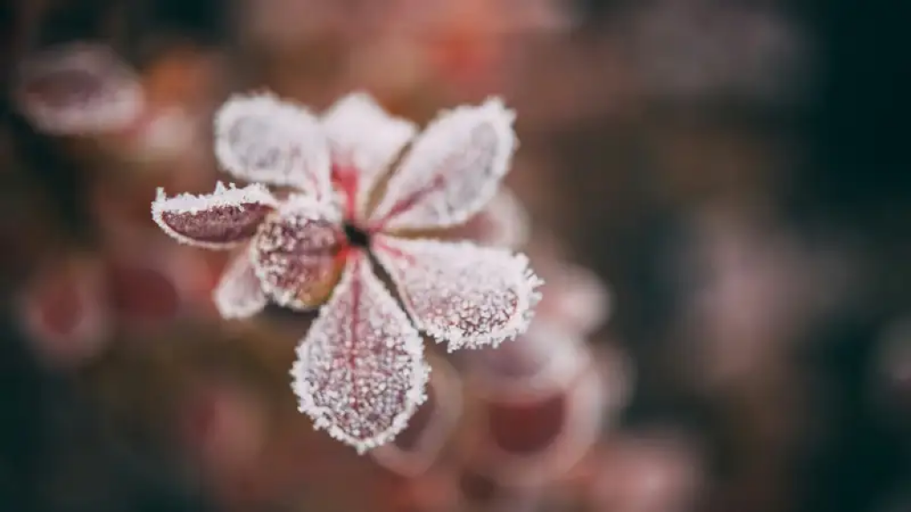 Снова похолодание и снег – синоптики дали прогноз на выходные по Казахстану