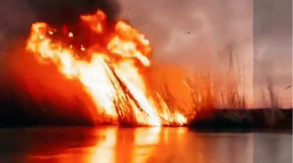 «Это жгут люди»: о проблеме на Балхаше рассказала казахстанка