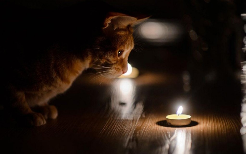 Несколько крупных микрорайонов Караганды остались без электричества