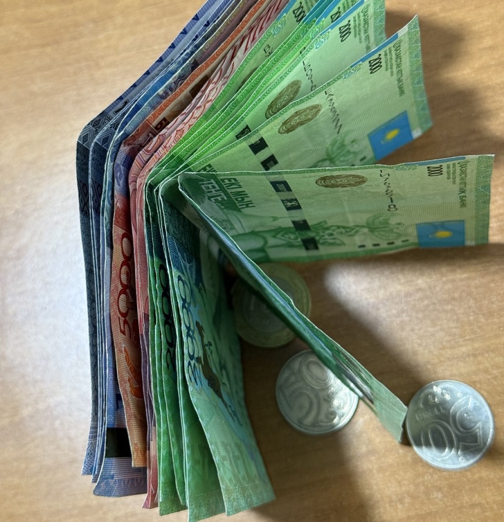 Кто из казахстанцев имеет право на социальную поддержку: обновлен перечень