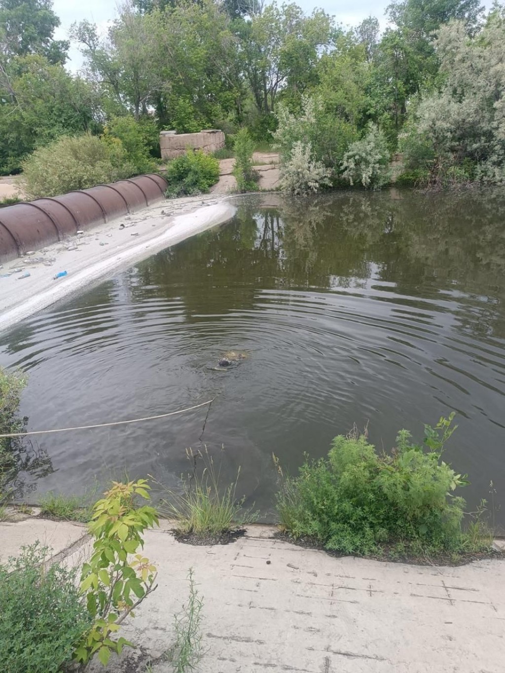 20-летний парень утонул в Темиртау