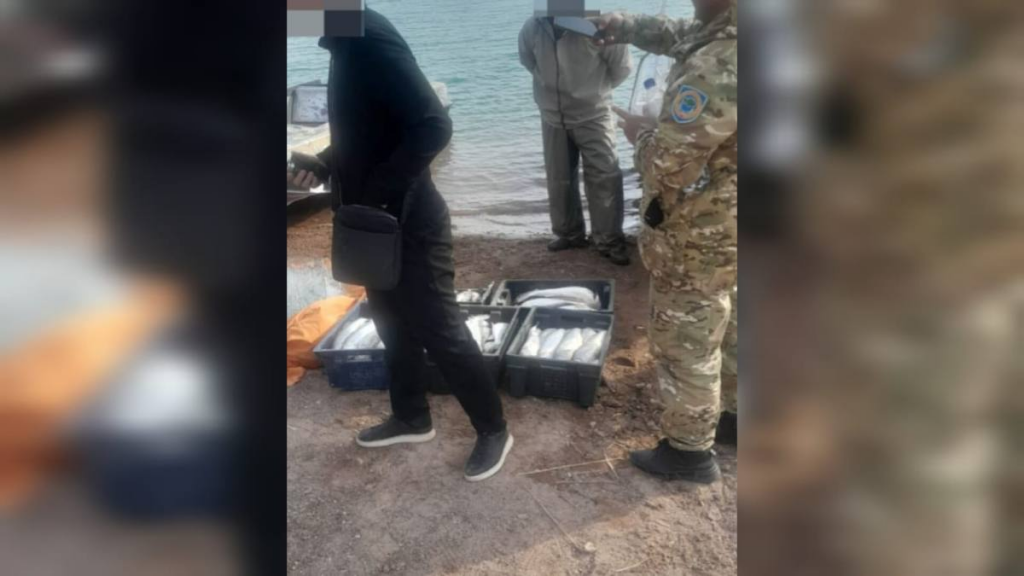 Задержан браконьер, ловивший рыбу на озере Балхаш