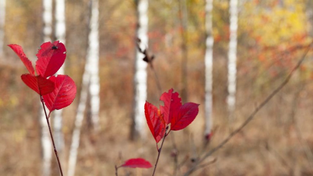 Синоптики рассказали, где в Казахстане ожидается погода без осадков 4 октября