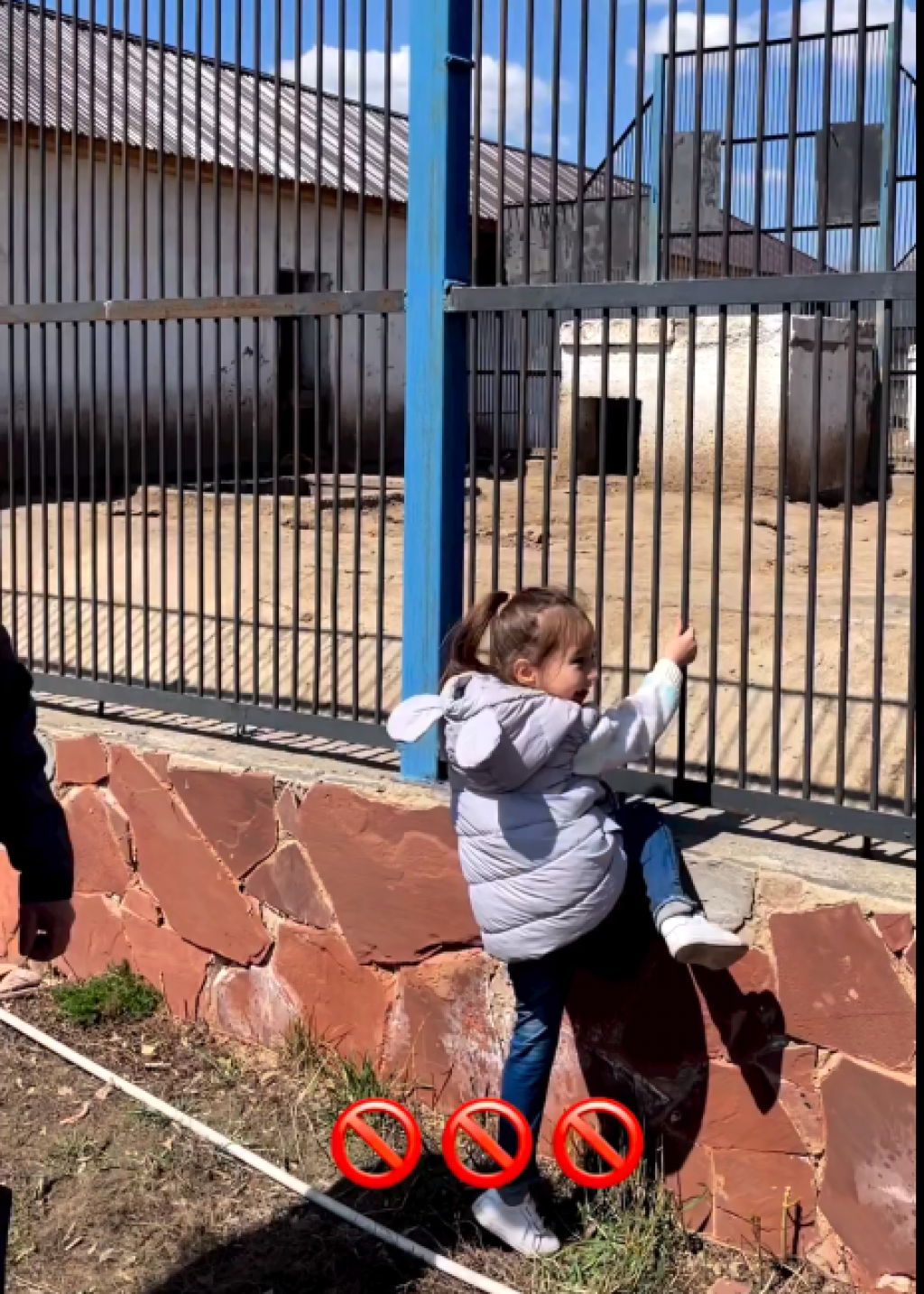 В Карагандинском зоопарке сняли ролик для посетителей о правильном поведении и безопасности