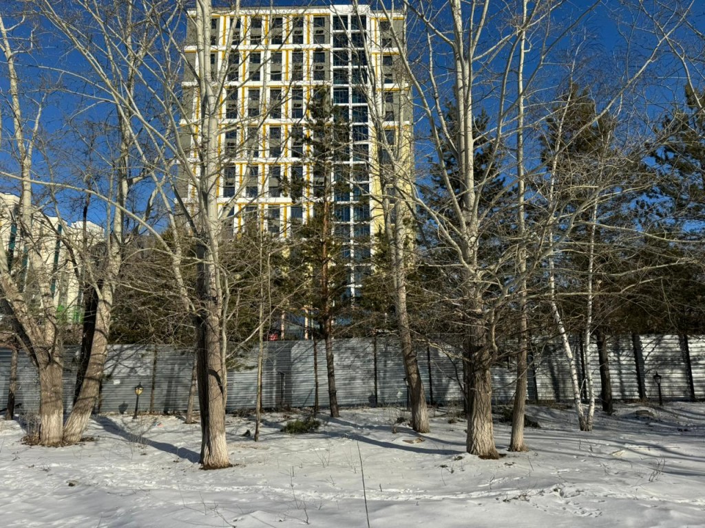 В Караганде снова будут вырубать деревья