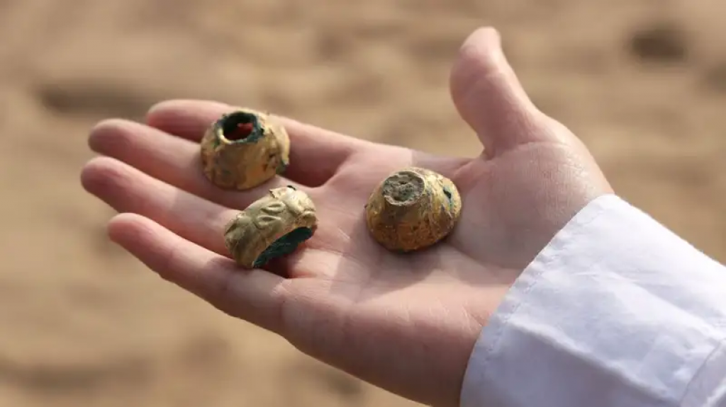 Как передать археологические и другие находки в музей: разработаны правила