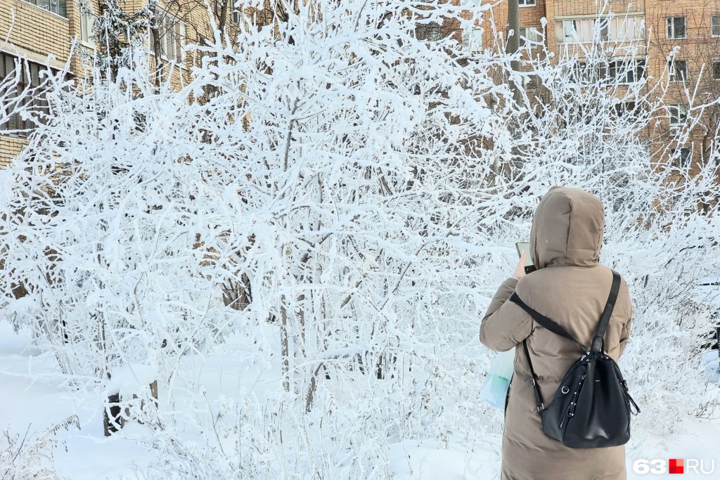 Школьников и часть студентов Караганды и области 12 декабря переводят на дистанционку
