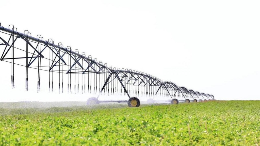 В Нуринском районе увеличили посевные площади