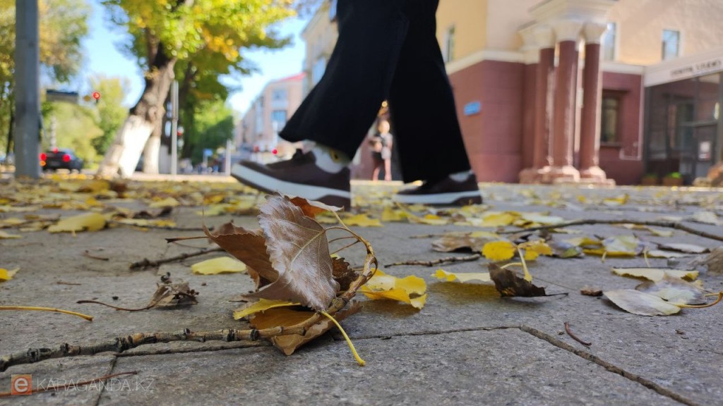 Қазақстанда әдеттен тыс жылы қараша жаңа рекордтар орнатты