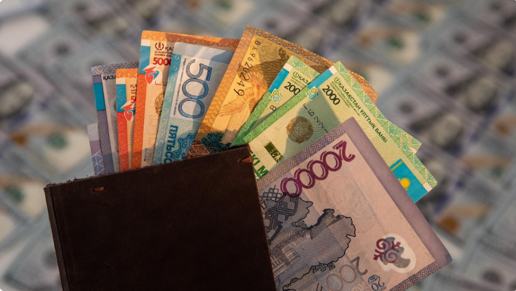 Общественных помощников смогут привлекать все правоохранительные органы Казахстана