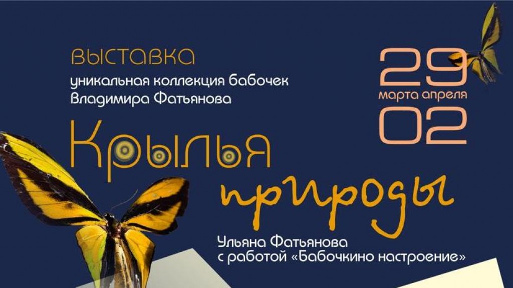 «Крылья природы»: в карагандинской галерее откроется выставка бабочек