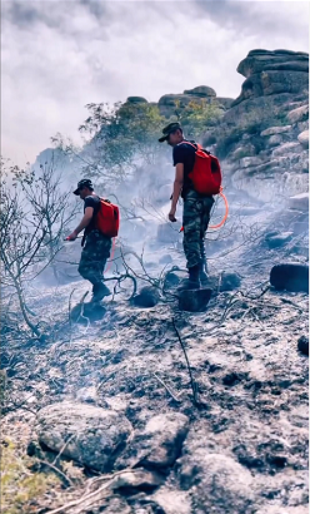 Природный пожар в Шетском районе Карагандинской области остаётся на контроле ДЧС
