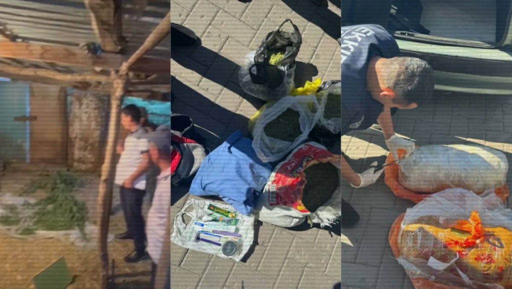 МВД: С начала года из незаконного оборота изъято более 11 тонн наркотиков