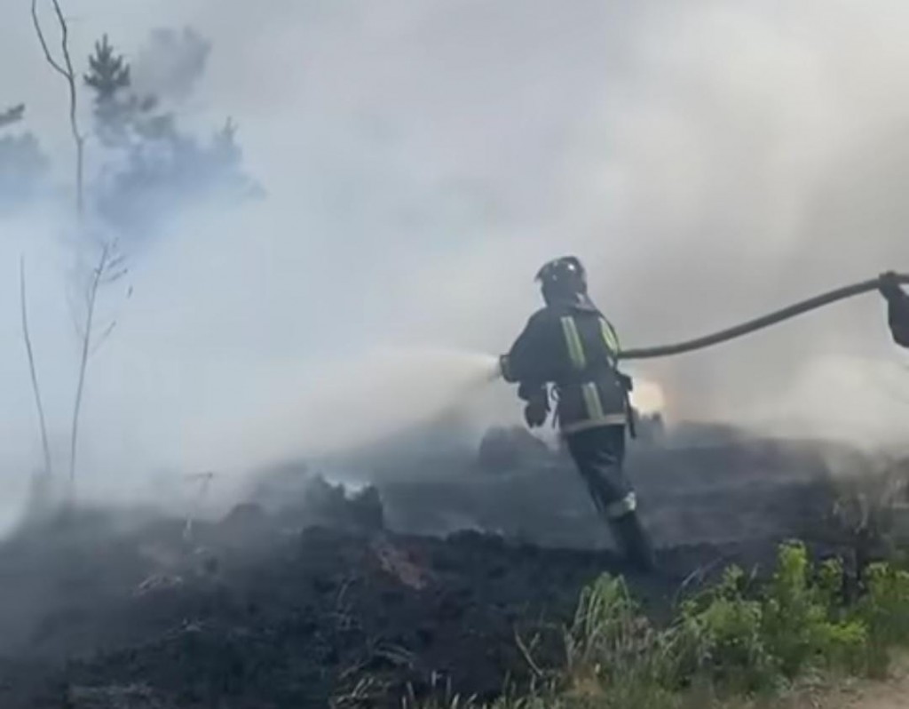 Порно сиысатын фильмдер