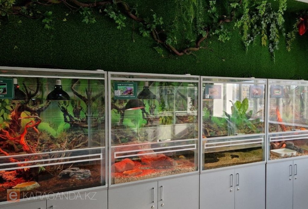 В карагандинском зоопарке умные колонки рассказывают об обитателях