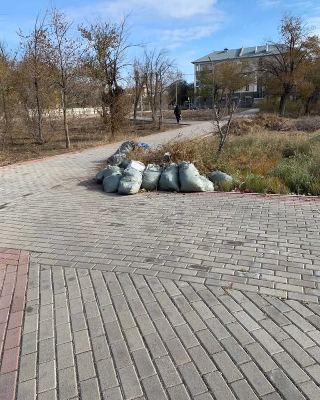 Жители Балхаша пожаловались не вывозившийся из парка больше недели мусор после 
субботника