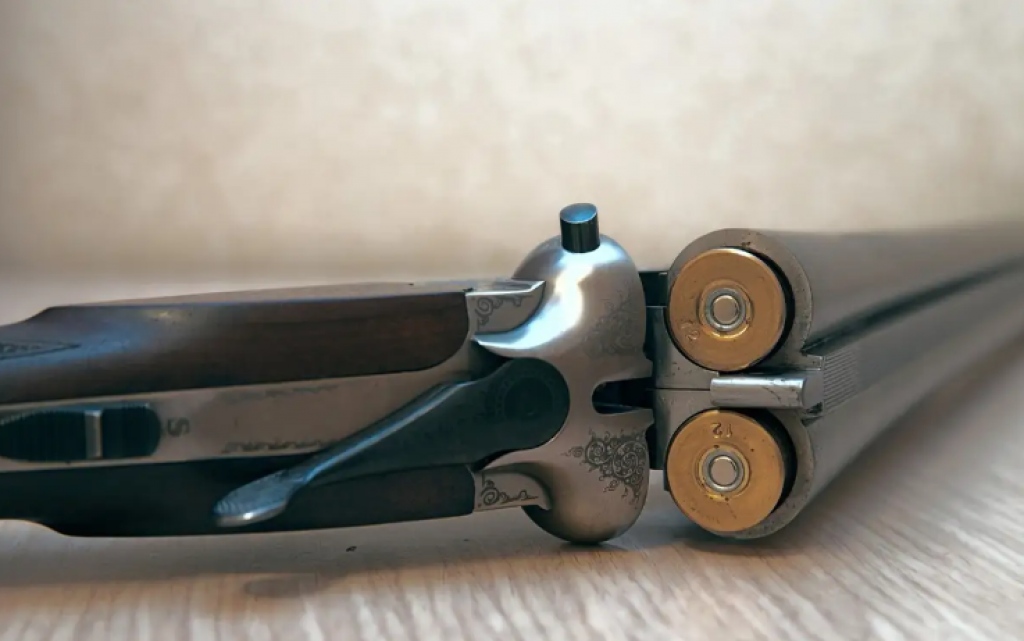 Около 1% казахстанцев владеют гражданским оружием