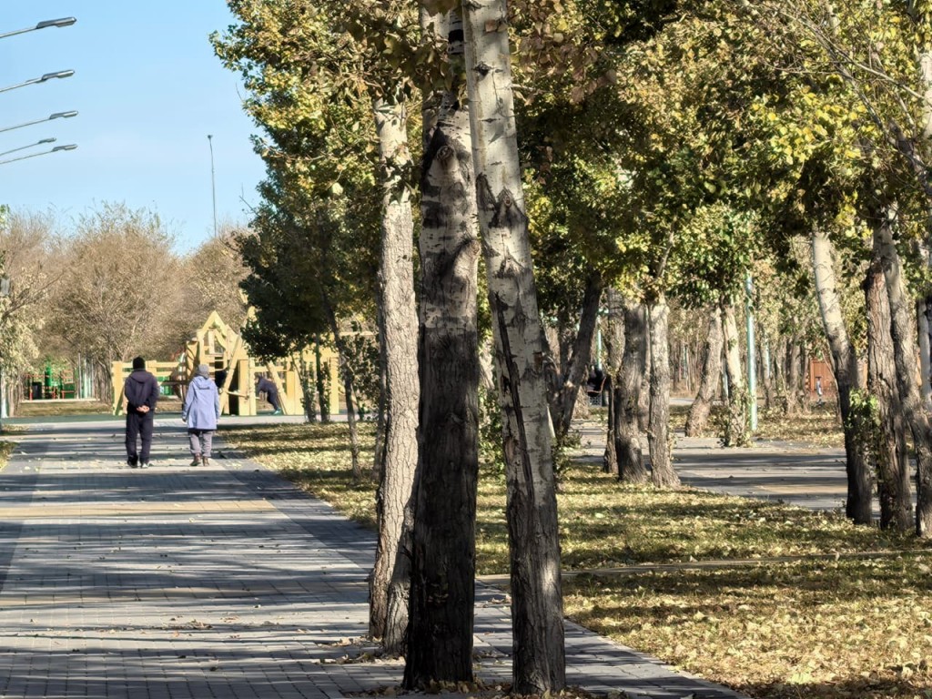 Жалаңаш джинсы киген әйелдер