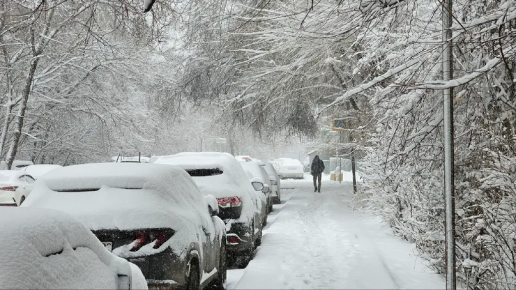 За неоплату парковки снижают штраф: какие еще ждут изменения за нарушения ПДД с 13 марта