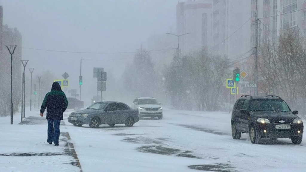 В МЧС обратились к казахстанцам из-за морозов