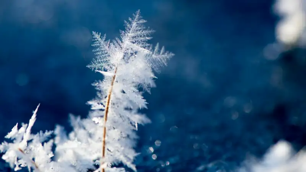 Заморозки на юге и снег в центре РК: какой будет погода 16 октября