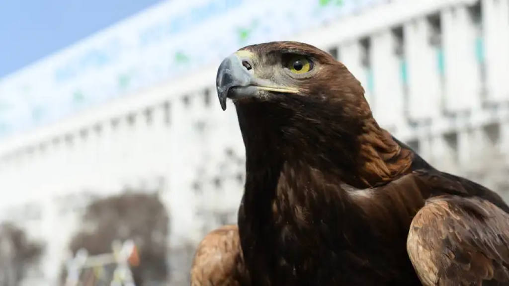 5 июня – День эколога: история праздника и кто стоит на защите природы в Казахстане