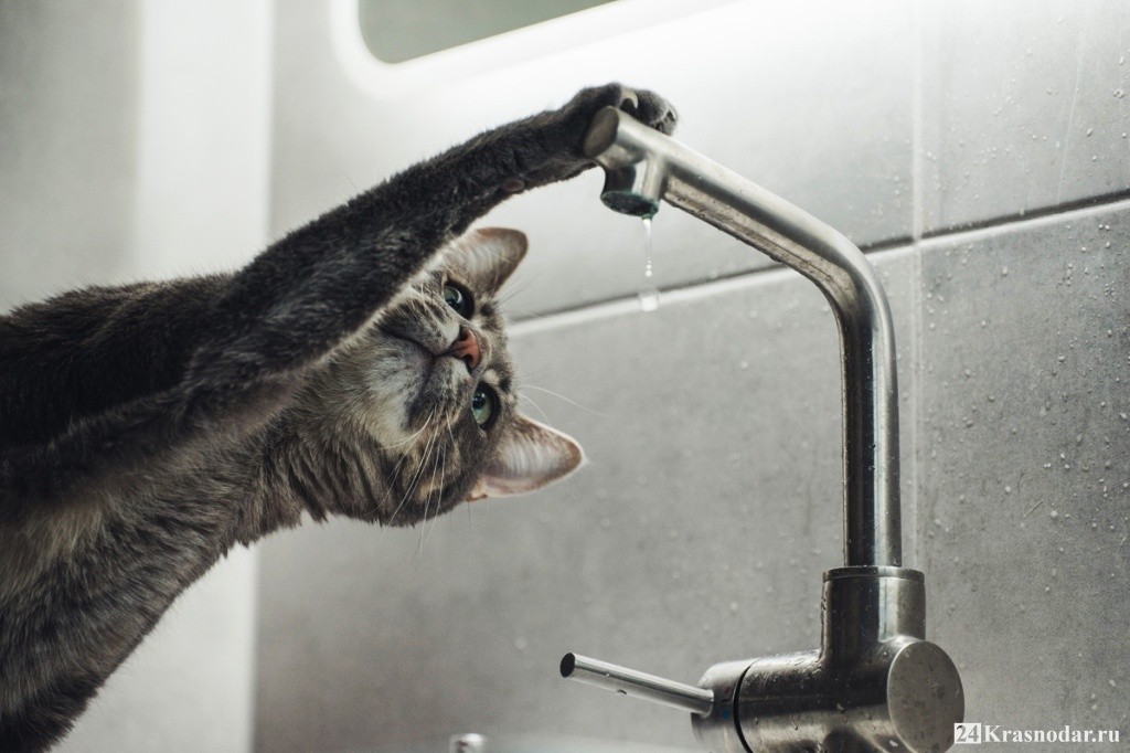 В Караганде на водопроводе произошла утечка