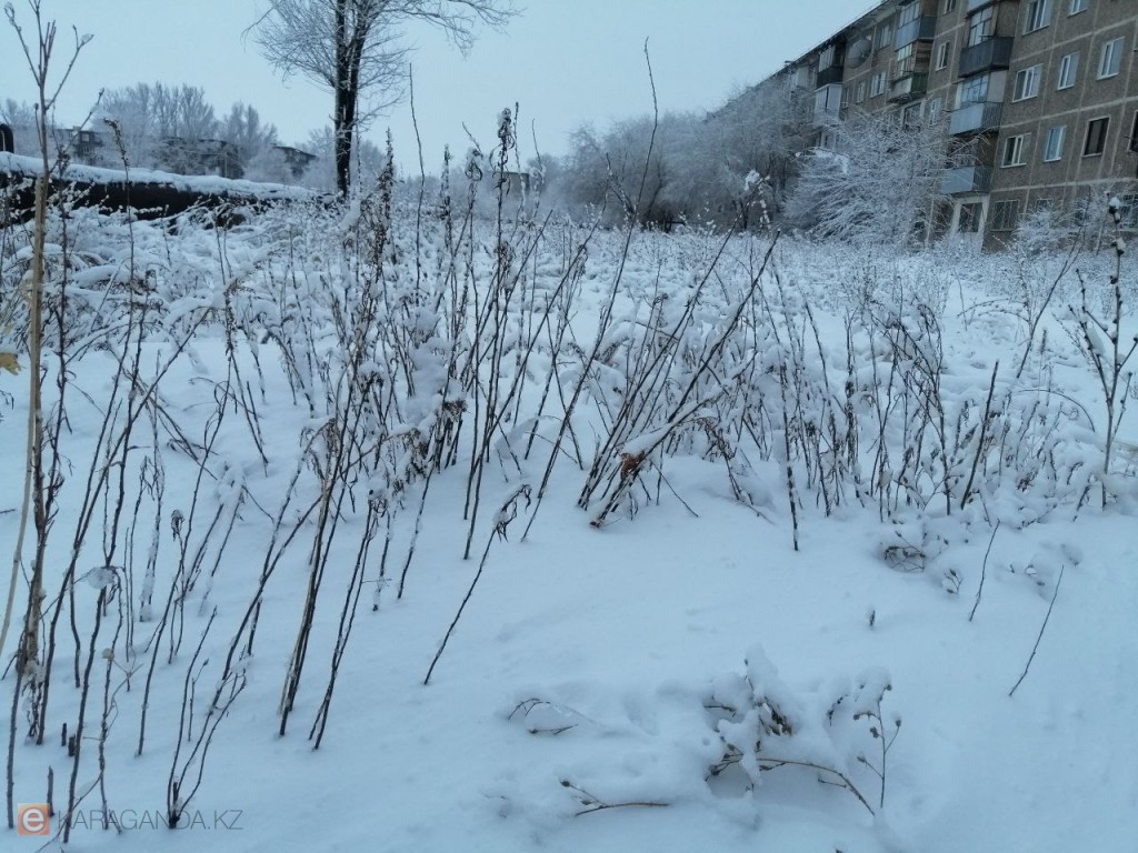 Морозный и облачный день: погода в Караганде и области 4 марта