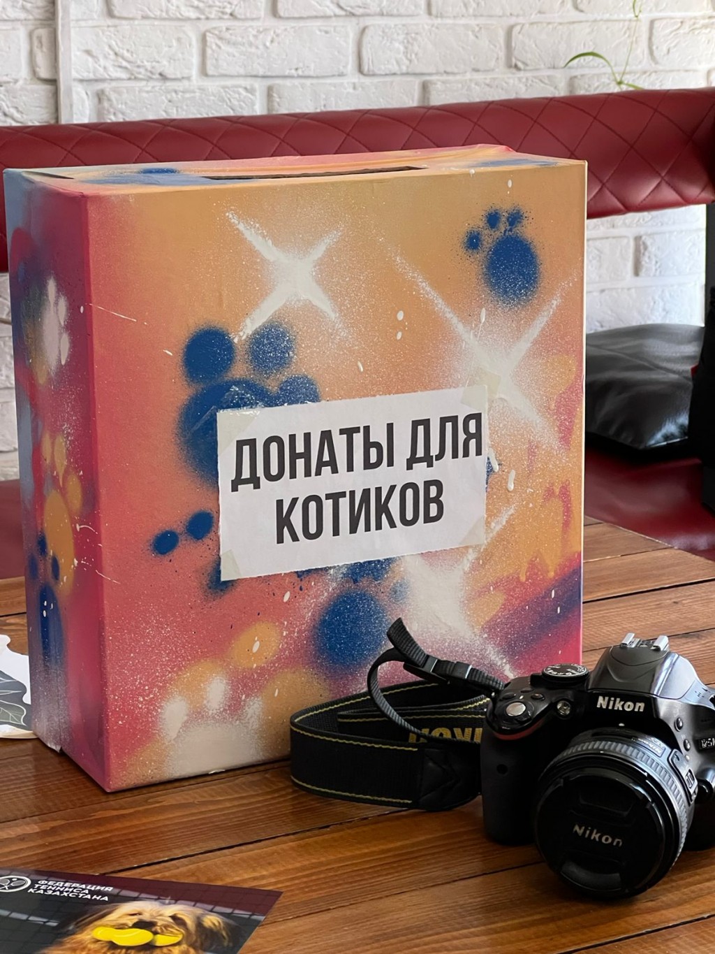 Тату для тела, котики для души: благотворительная акция в помощь бездомным животным прошла в Караганде